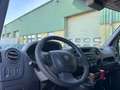Renault Master Kühlhaus Alb - thumbnail 11
