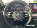 Skoda Octavia 1.5 TSI e-Tec Navi ACC LED Kamera Winterpaket Digi Blau - thumbnail 13