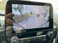 Ford Flex 1.0 Flexifuel 125ch S\u0026S mHEV Titanium Busines Negro - thumbnail 20