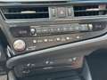 Lexus ES 300 H,SD Schwarz - thumbnail 18