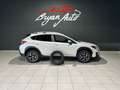 Subaru XV 1.6i Style Navi lineartronic Bianco - thumbnail 1
