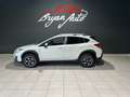 Subaru XV 1.6i Style Navi lineartronic Bianco - thumbnail 6