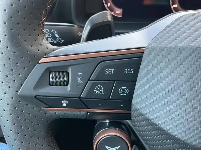 CUPRA Formentor VZ 4Drive AHK NAVI Sennheiser Intelligent Drive... Ansicht 28