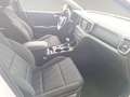 Kia Sportage 1,6 CRDI SCR MHD Silber DCT Aut. Weiß - thumbnail 15
