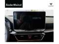 SEAT Leon Cupra Leon Sportstourer 1.5 eTSI 110 kW Blau - thumbnail 12