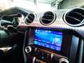 Ford Mustang Fastback 5.0 Ti-VCT Bullit Verde - thumbnail 12