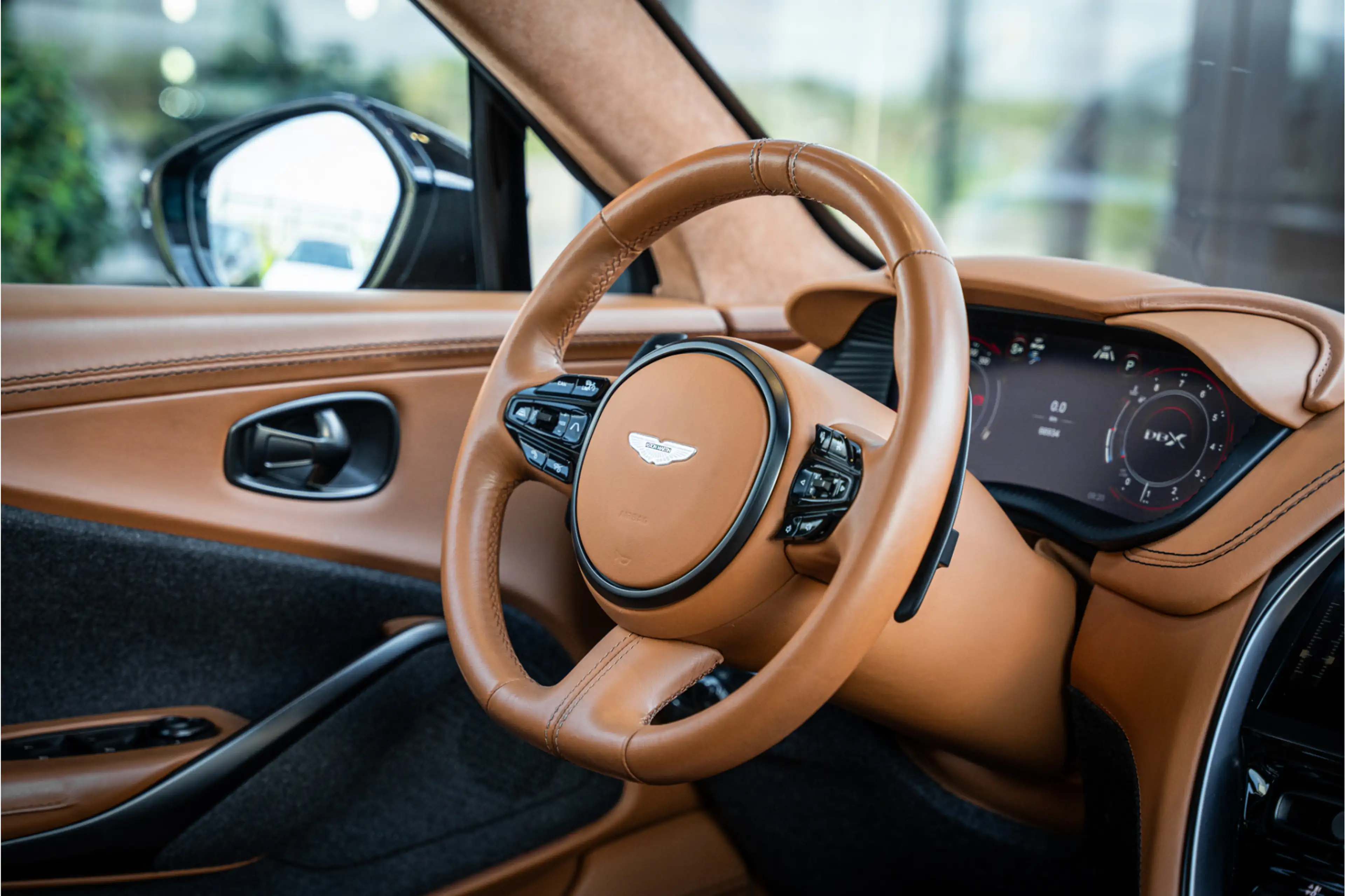 Aston Martin DBX 4.0 V8 - 1/500 | Panorama | 360 Camera | Luchtveri — photo 11