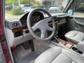 Mercedes-Benz G 300 (GE) Leder HU AU 02/2026 AHK Bullenfänger Rouge - thumbnail 10