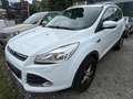 Ford Kuga Trend Weiß - thumbnail 2