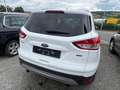 Ford Kuga Trend Weiß - thumbnail 3