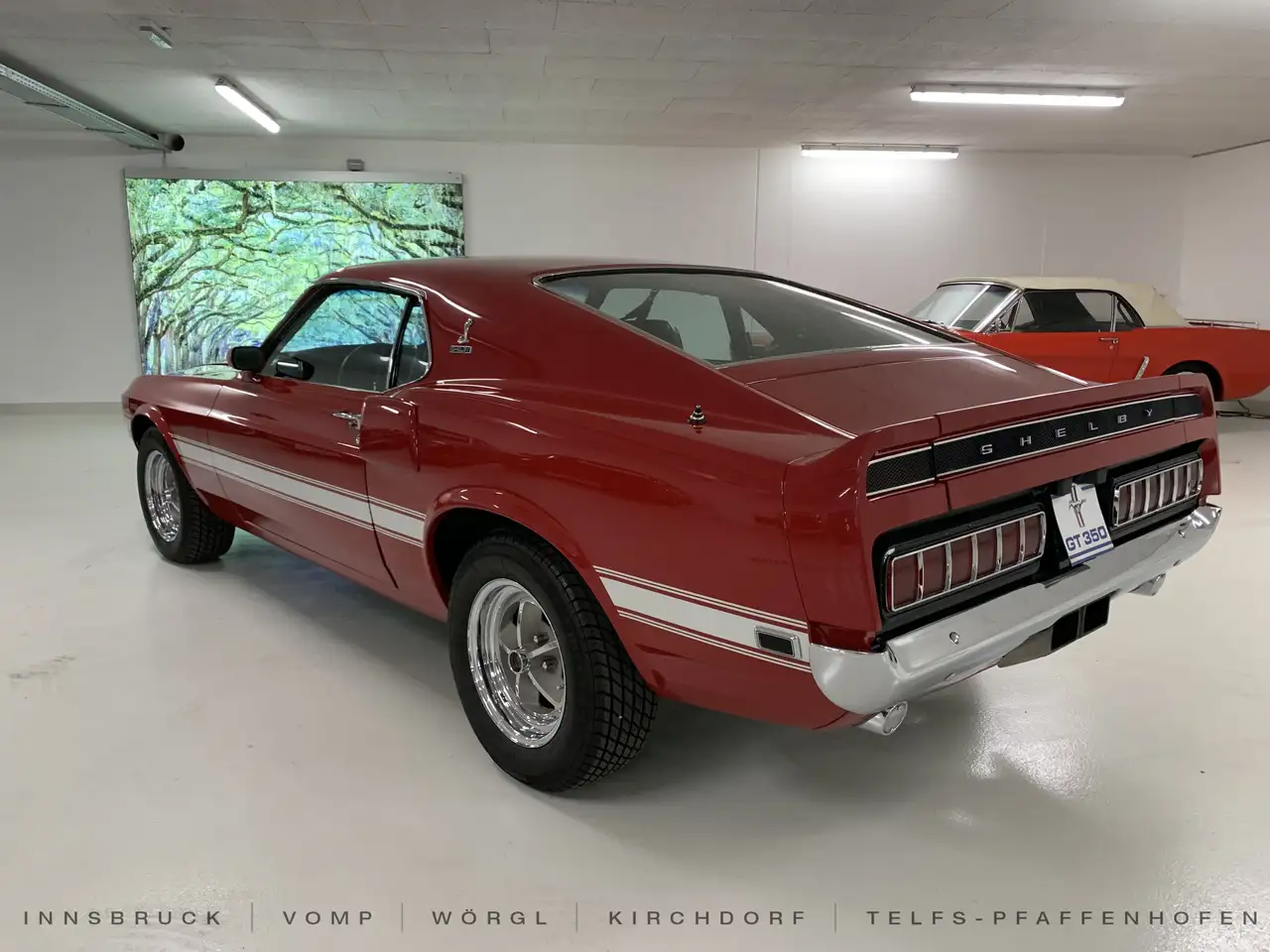 Ford Mustang Shelby GT350 Fastback, foto 5