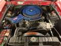 Ford Mustang Shelby GT350 Fastback Rouge - thumbnail 18