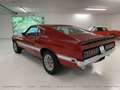 Ford Mustang Shelby GT350 Fastback Rosso - thumbnail 5