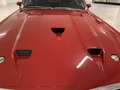 Ford Mustang Shelby GT350 Fastback Rouge - thumbnail 14