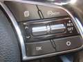 Kia Ceed SW / cee'd SW ceed SW Platinum AUT KLIMAAUT Grau - thumbnail 24