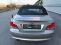 BMW 118 i Cabrio Österreich-Paket *Xenon* ID:110 Gold - thumbnail 12