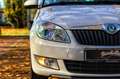 Skoda Roomster *1.HAND*TÜV NEU*KLIMA*PDC*TEMPO*TOP* Blanco - thumbnail 12