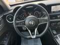 Alfa Romeo Stelvio 2.2 Turbodiesel 160CV AT8 Rouge - thumbnail 14