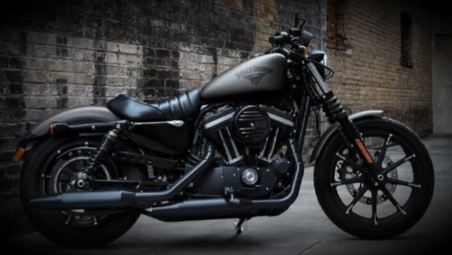 Harley-Davidson Iron 883 Gri - 1