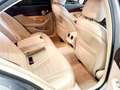 Mercedes-Benz C 250 250CDI BE Avantgarde Aut. Gris - thumbnail 37