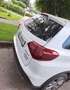 Suzuki Vitara Vitara 1,4 GL  DITC Hybrid ALLGRIP shine shine Weiß - thumbnail 9