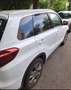 Suzuki Vitara Vitara 1,4 GL  DITC Hybrid ALLGRIP shine shine Weiß - thumbnail 10