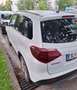 Suzuki Vitara Vitara 1,4 GL  DITC Hybrid ALLGRIP shine shine Weiß - thumbnail 3