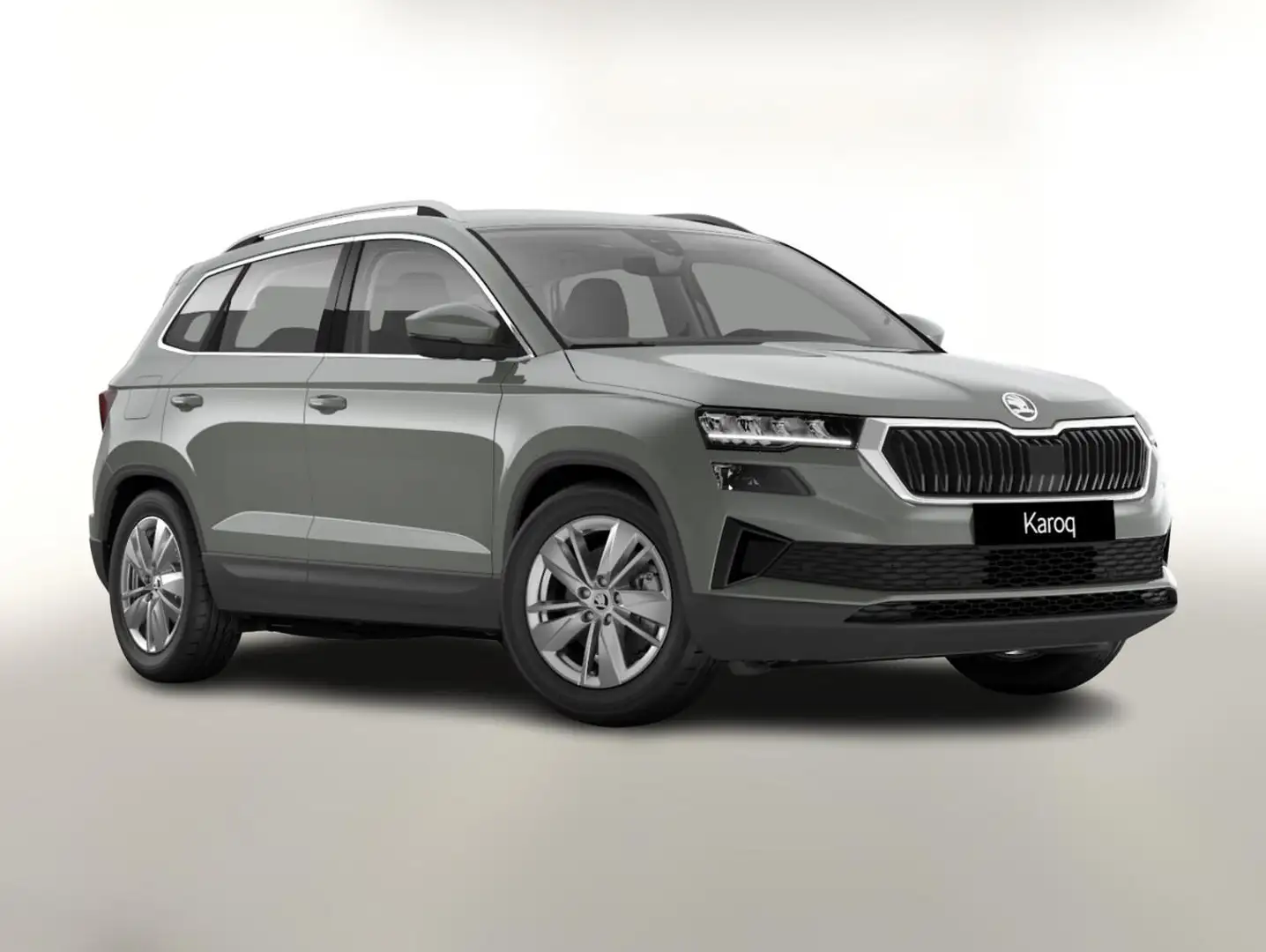 Skoda Karoq Selection TDI 150 DSG Selec LED Nav Kam SHZ Sun... Grau - 1
