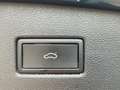 Volkswagen Tiguan 1.5 TSI ACTIVE LED+APP+ACC+SHZ+2xPDC+AHK Blau - thumbnail 15