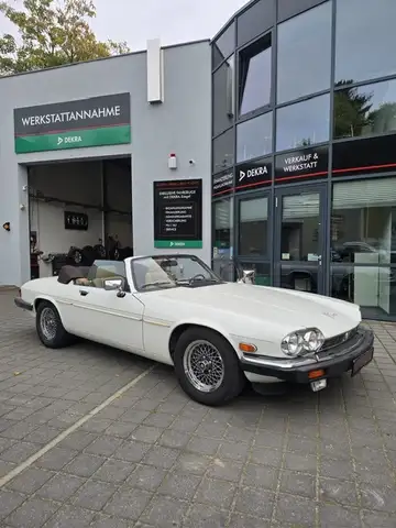 Jaguar Autres Jaguar XJS V12 5.3 IM KUNDENAUFTRAG US-MODELL