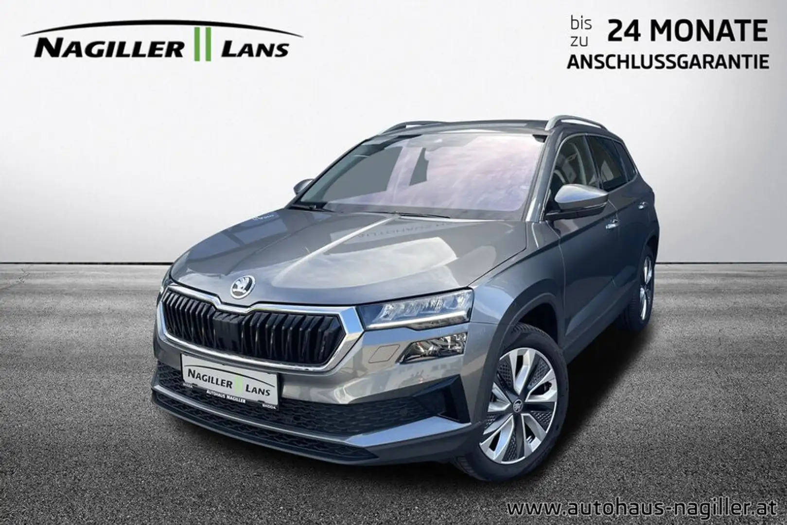 Skoda Karoq 2,0 TDI 4x4 DSG Selection Gris - 1