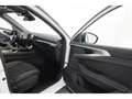 Renault Austral 1.3TCe Aut.Techno+LED+NAVI+KAMERA+SHZ Wit - thumbnail 21