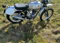 Gilera 124 5V - Regolarita Casa - 125 cc Серебристый - thumbnail 4