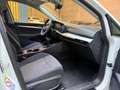 Volkswagen Golf 2.0 TDI 85kW (115CV) Weiß - thumbnail 13