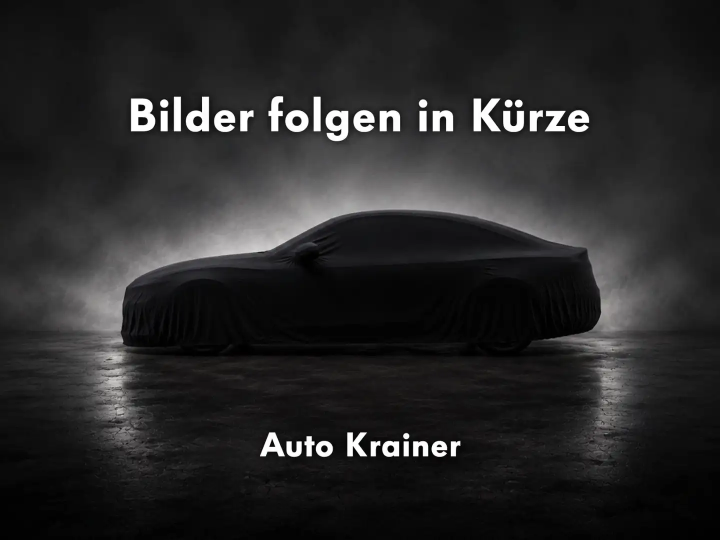 Skoda Elroq 85x Selection Grau - 1
