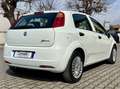 Fiat Grande Punto Grande Punto 5p 1.2 Dynamic 65cv Weiß - thumbnail 6