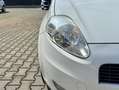 Fiat Grande Punto Grande Punto 5p 1.2 Dynamic 65cv Weiß - thumbnail 19