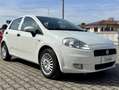 Fiat Grande Punto Grande Punto 5p 1.2 Dynamic 65cv Weiß - thumbnail 8