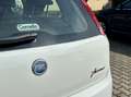 Fiat Grande Punto Grande Punto 5p 1.2 Dynamic 65cv Weiß - thumbnail 18