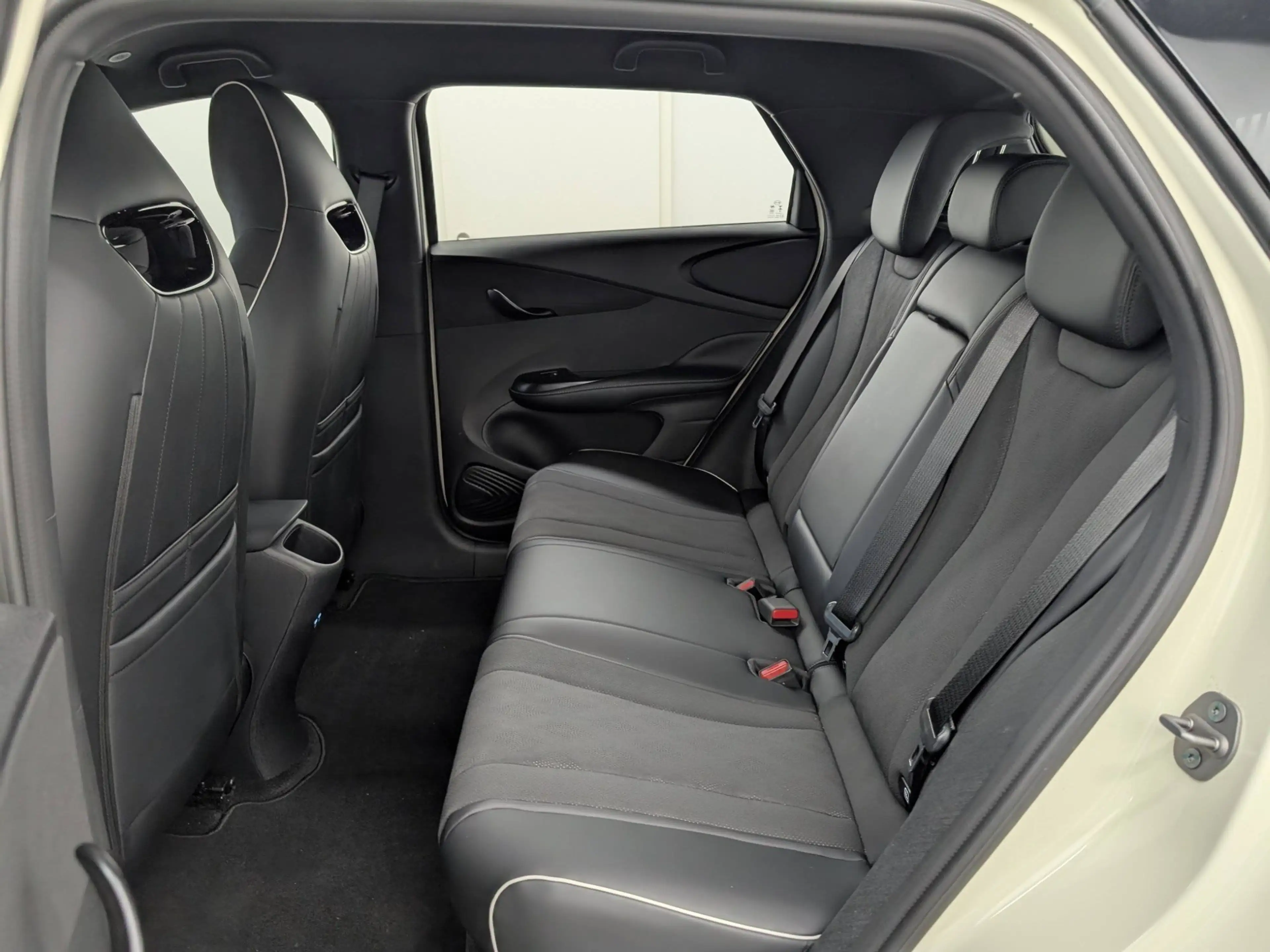 BYD Dolphin Comfort LED Navi ACC Keyless — photo 9
