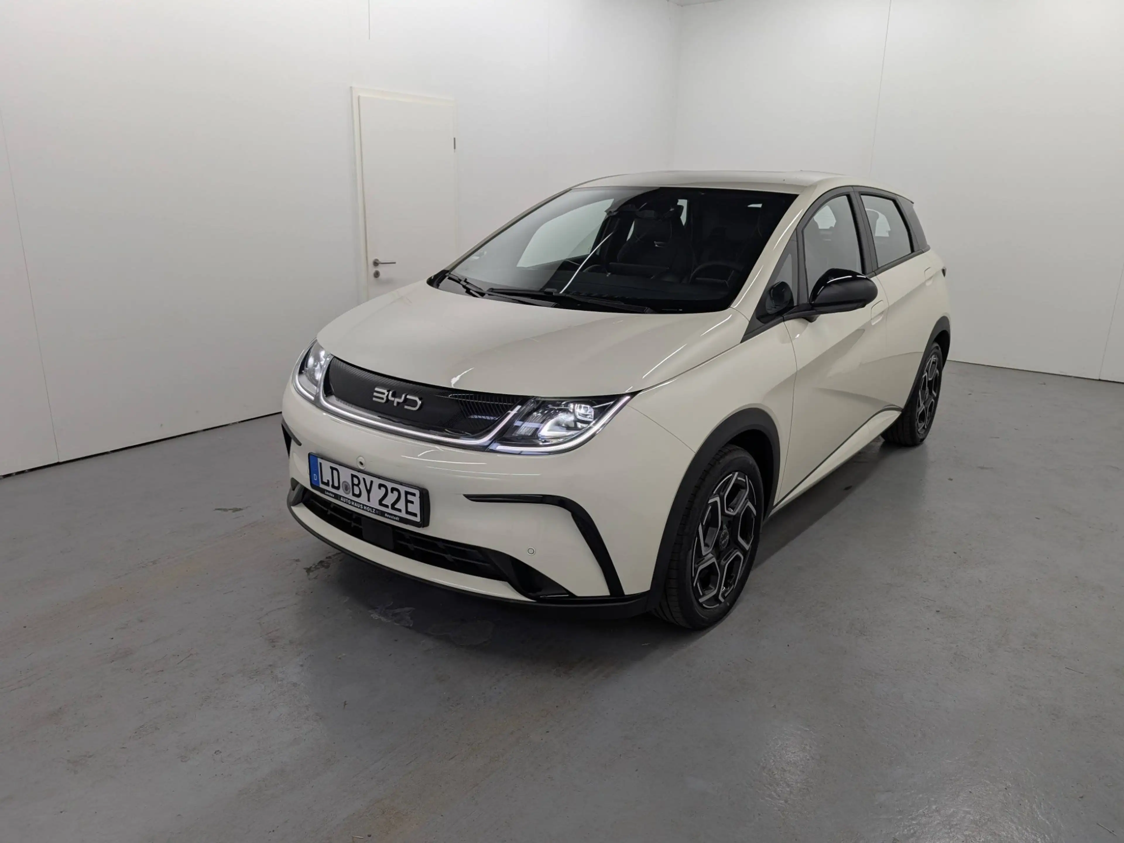 BYD Dolphin Comfort LED Navi ACC Keyless
