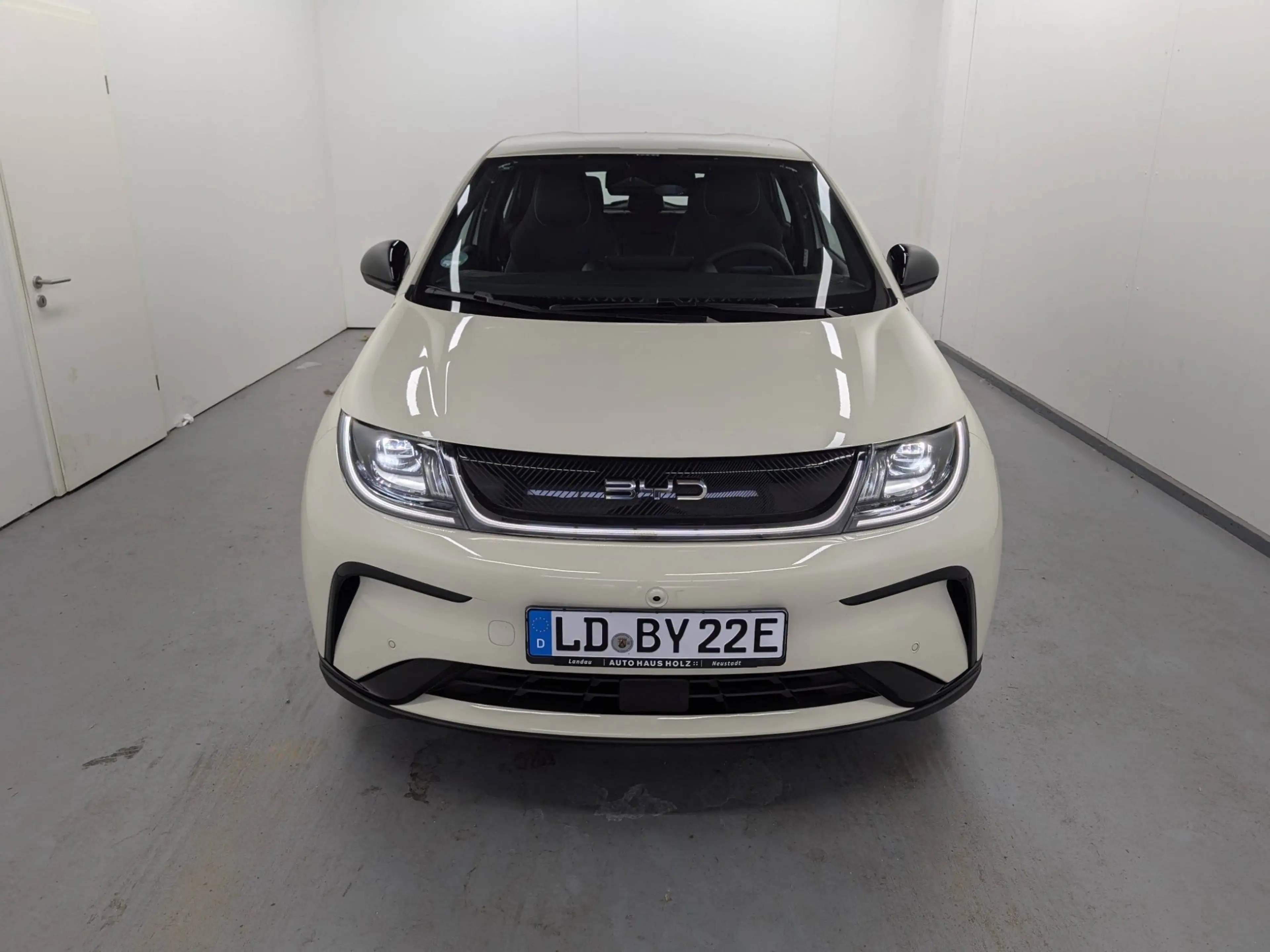 BYD Dolphin Comfort LED Navi ACC Keyless — photo 6