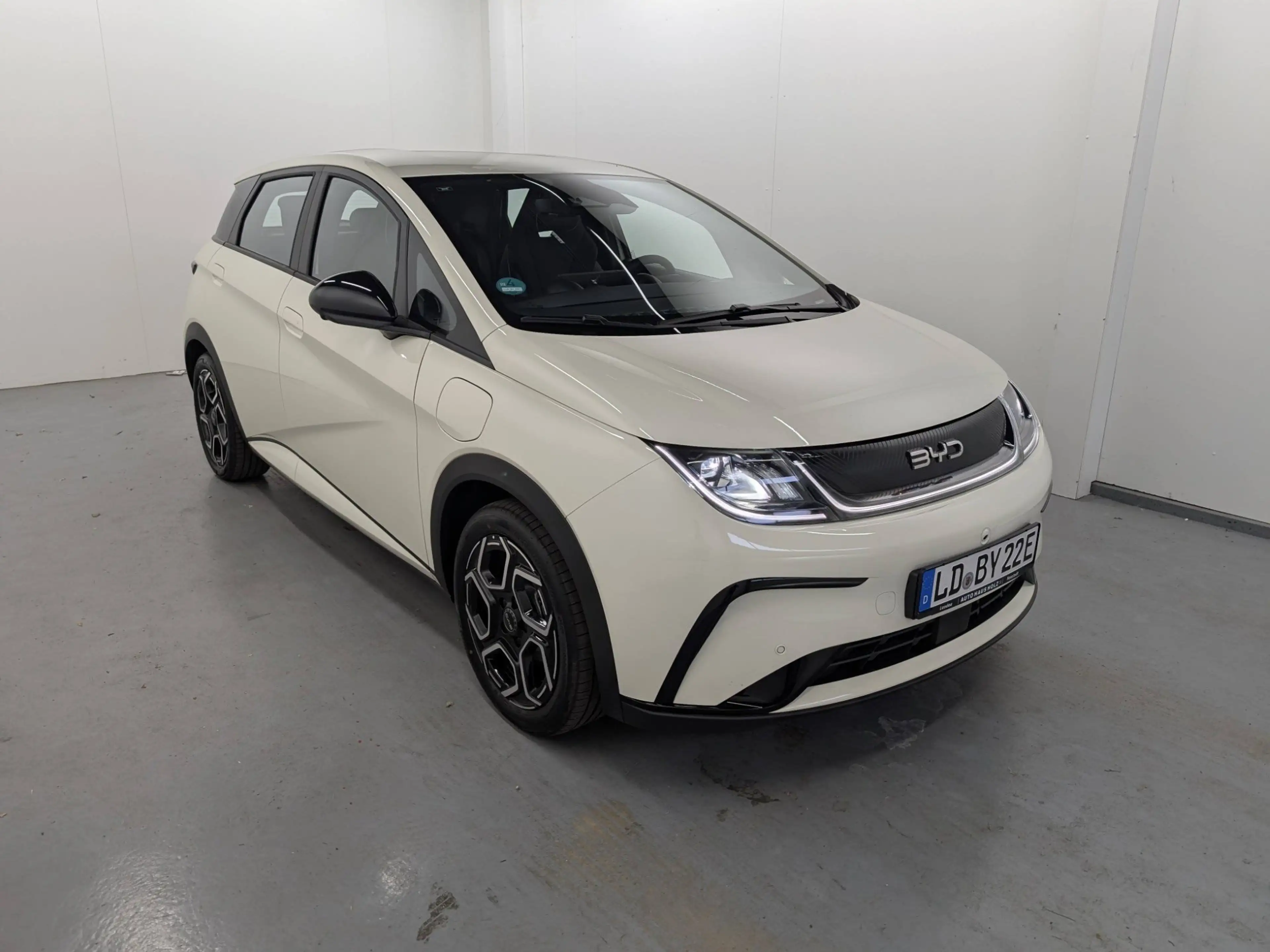 BYD Dolphin Comfort LED Navi ACC Keyless — photo 5