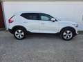 Volvo XC40 XC40 T3 Momentum Premium Edition Momentum Premium Edition Blanco - thumbnail 1