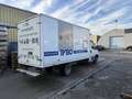 Iveco Daily 3.0l 50C18 180pk permis b drive good - thumbnail 5