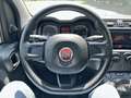 Fiat Panda 1.2 69cv S&S E6d-Temp Easy Grigio - thumbnail 12