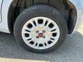 Fiat Panda 1.2 69cv S&S E6d-Temp Easy Grigio - thumbnail 7