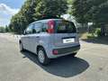 Fiat Panda 1.2 69cv S&S E6d-Temp Easy Grigio - thumbnail 3