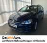 Volkswagen Golf Variant TDI SCR Bleu - thumbnail 1