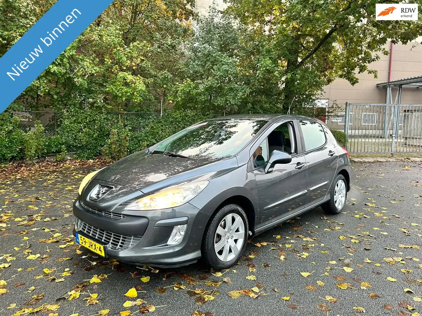 Peugeot 308 1.6 VTi Style Grau - 1